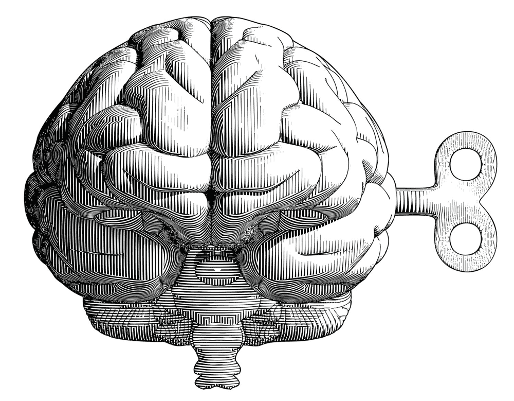 Illustrazione incisione vettoriale metaforica di cervello con chiave di carica utilizzata sul sito Willbe nella home page
